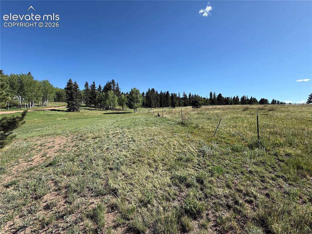 61 Stripling Lane Divide CO 80814