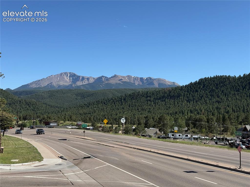 61 Stripling Lane Divide CO 80814