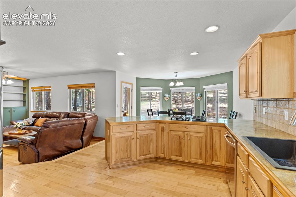 1215 Karen Lane Woodland Park CO 80863