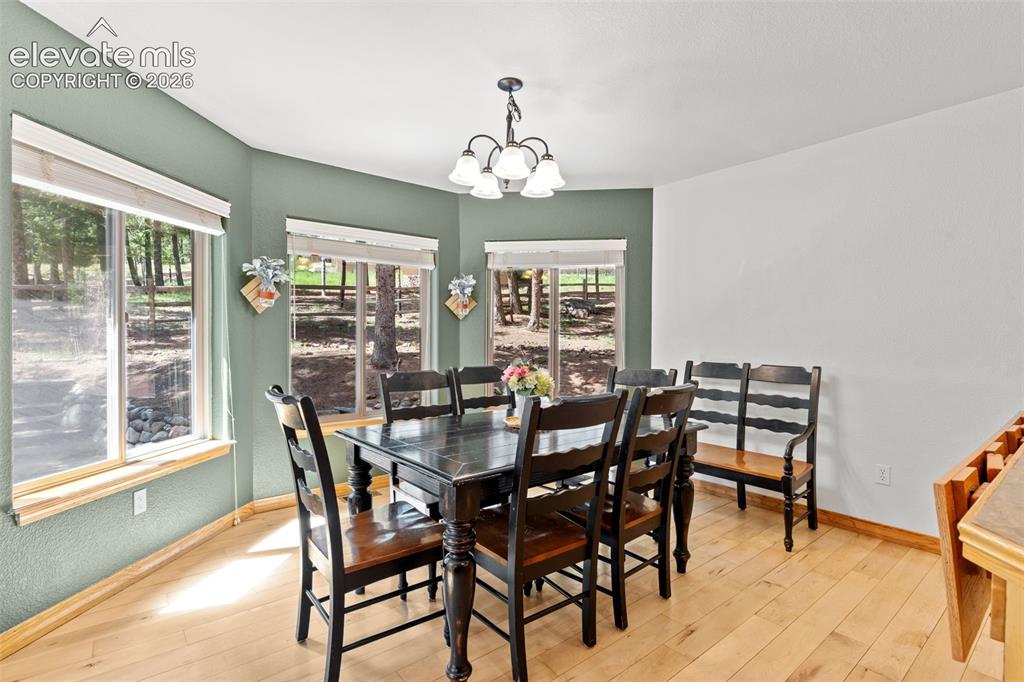 1215 Karen Lane Woodland Park CO 80863