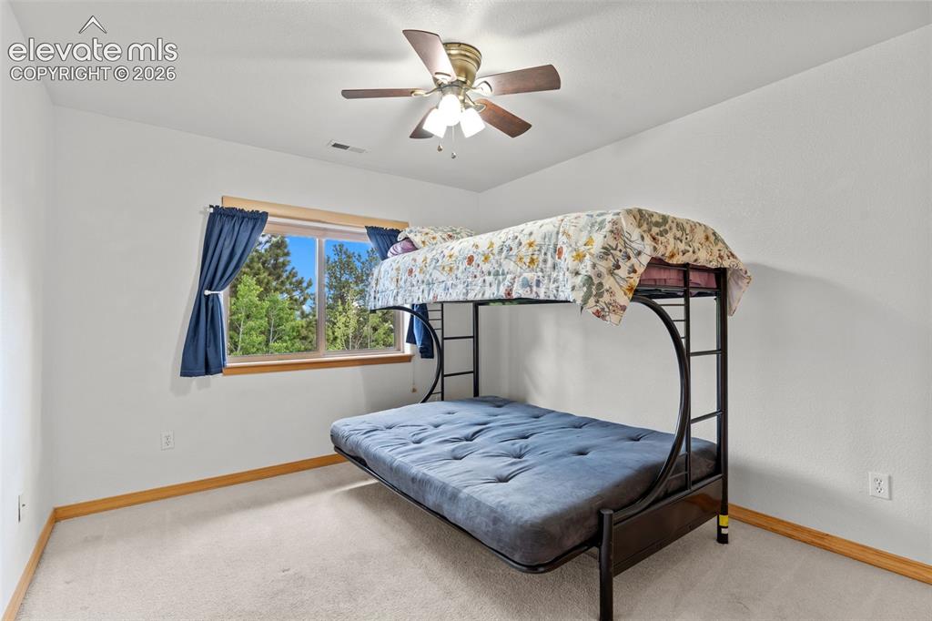 1215 Karen Lane Woodland Park CO 80863