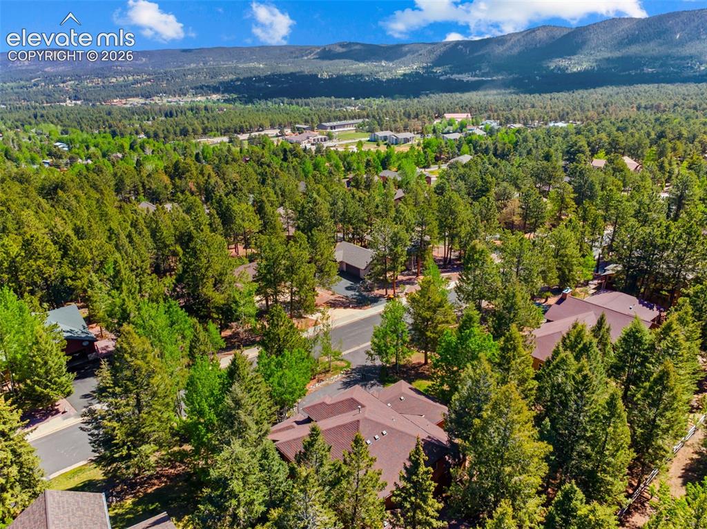 1215 Karen Lane Woodland Park CO 80863
