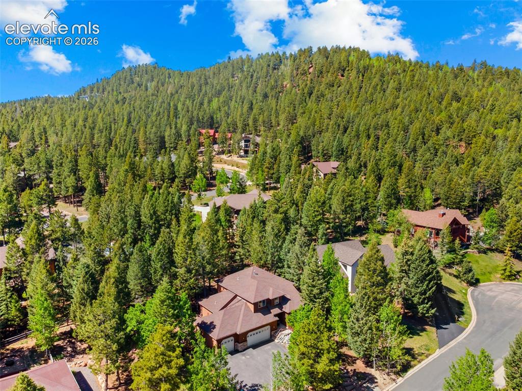 1215 Karen Lane Woodland Park CO 80863