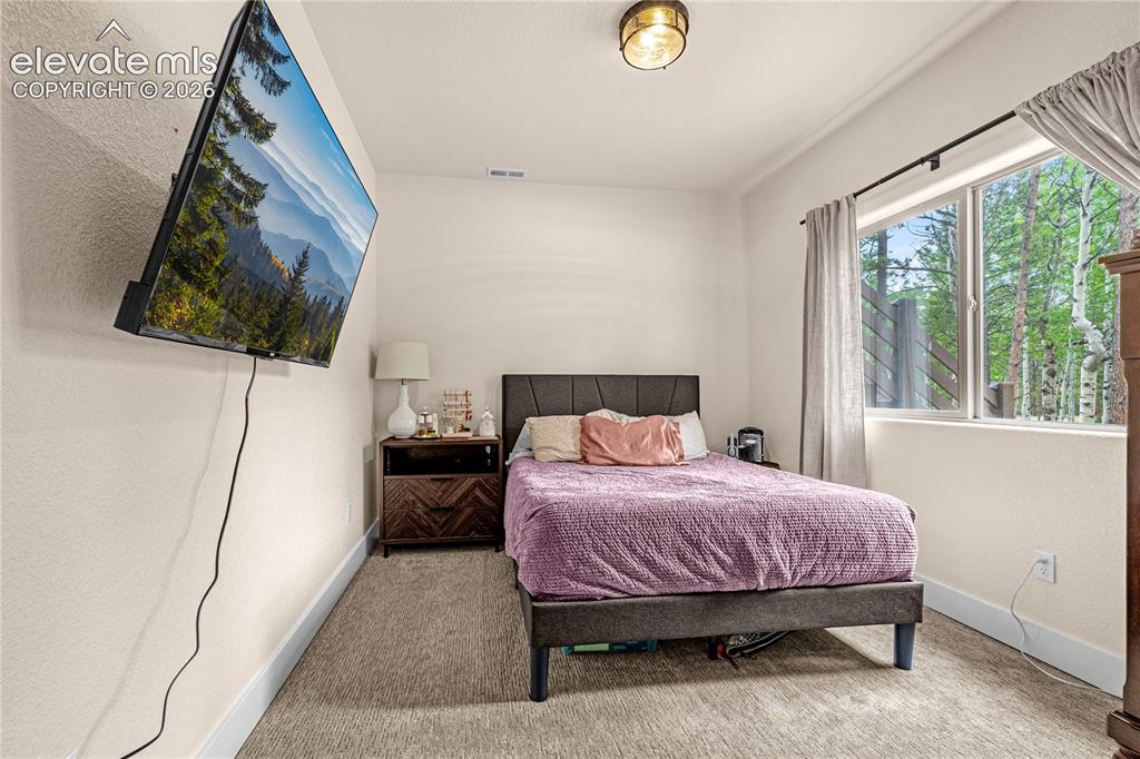 114 Homestead Lane Florissant CO 80816