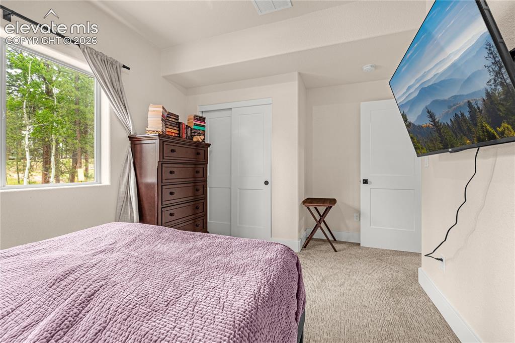 114 Homestead Lane Florissant CO 80816
