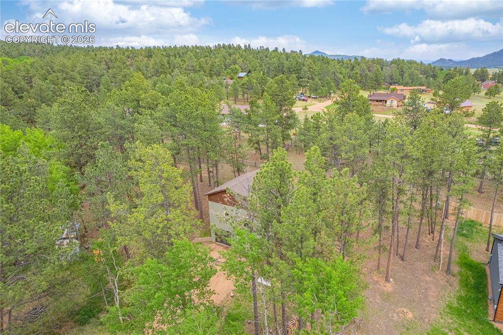 114 Homestead Lane Florissant CO 80816