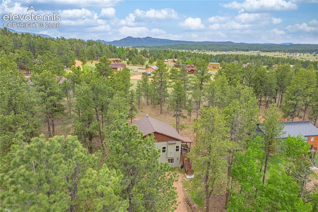 114 Homestead Lane Florissant CO 80816