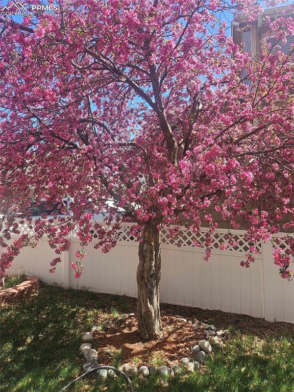2244 Saint Paul Drive Colorado Springs CO 80910