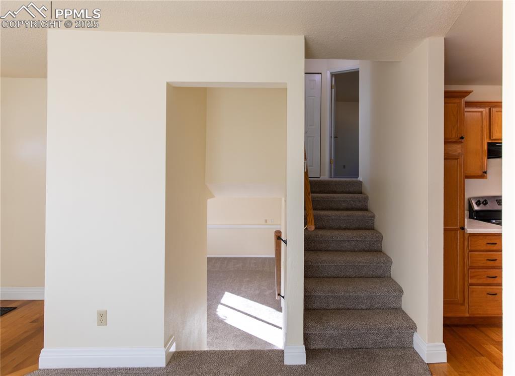 3932 Pearl Drive Colorado Springs CO 80918