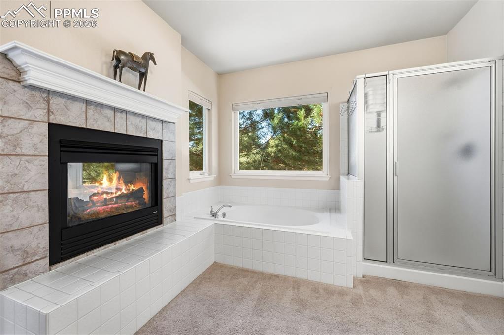 3805 Alta Mesa Court Colorado Springs CO 80904