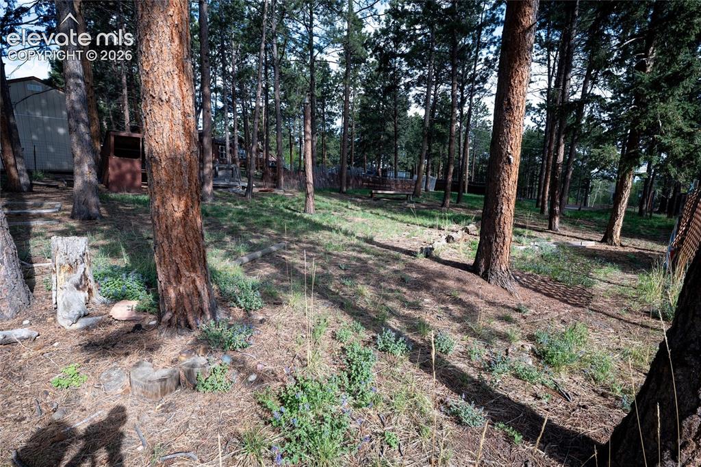 604 Whispering Winds Drive Woodland Park CO 80863