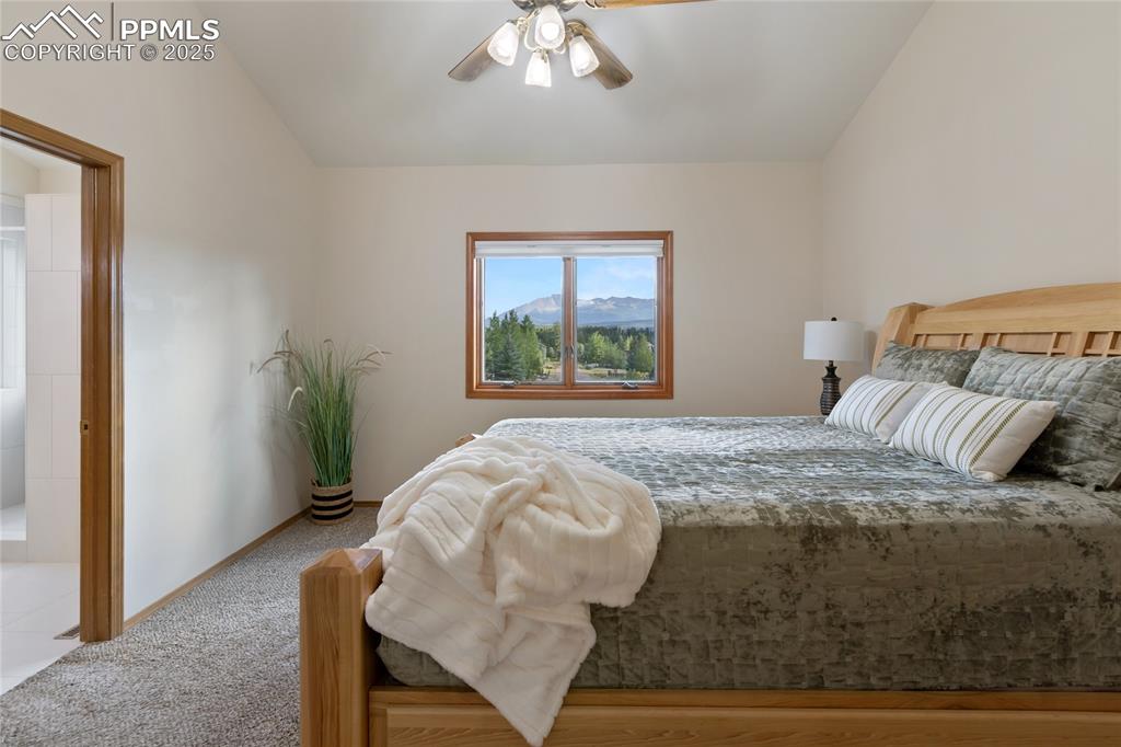220 Crestwood Drive Woodland Park CO 80863