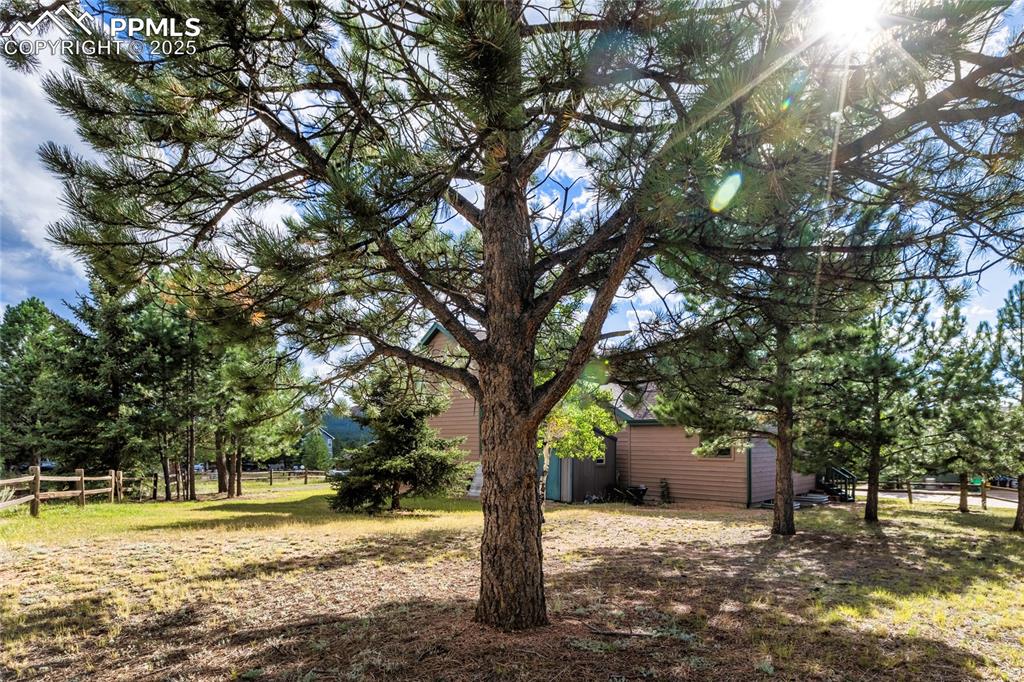 220 Crestwood Drive Woodland Park CO 80863