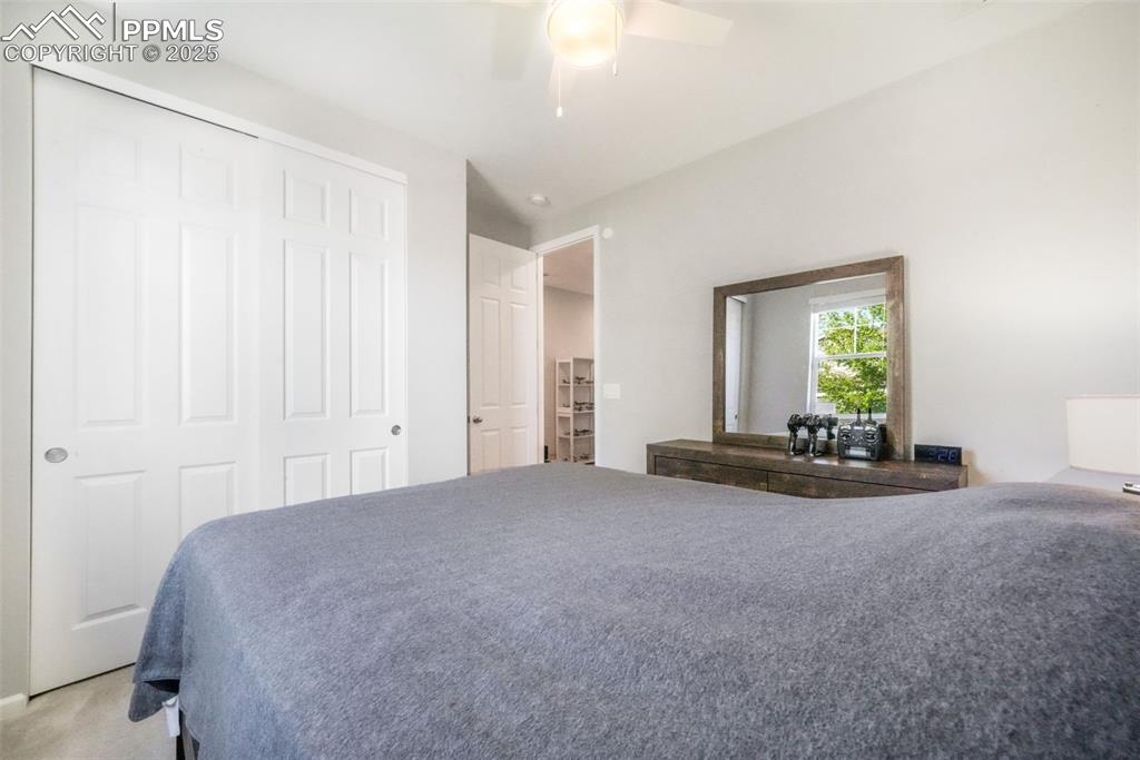 182 Vista Cliff Circle Castle Rock CO 80104