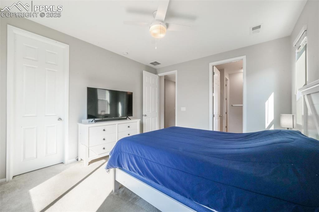 182 Vista Cliff Circle Castle Rock CO 80104