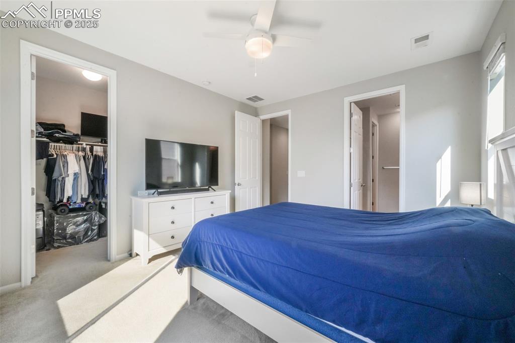 182 Vista Cliff Circle Castle Rock CO 80104