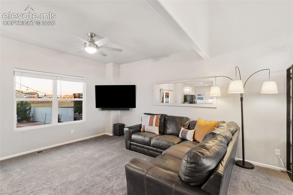 9811 Aberdale Court Peyton CO 80831