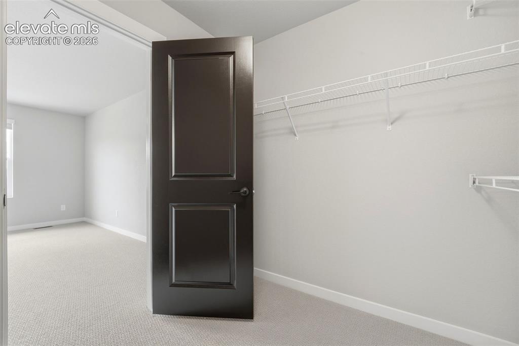 17723 Brass Buckle Way Monument CO 80132