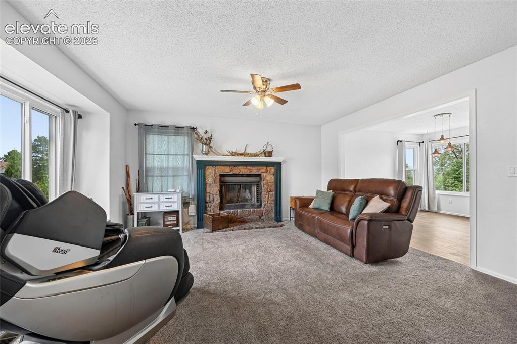 7730 Conifer Drive Colorado Springs CO 80920