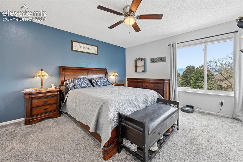 7730 Conifer Drive Colorado Springs CO 80920