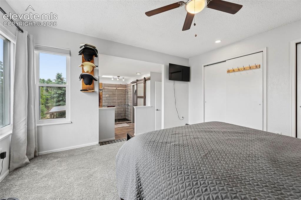 7730 Conifer Drive Colorado Springs CO 80920
