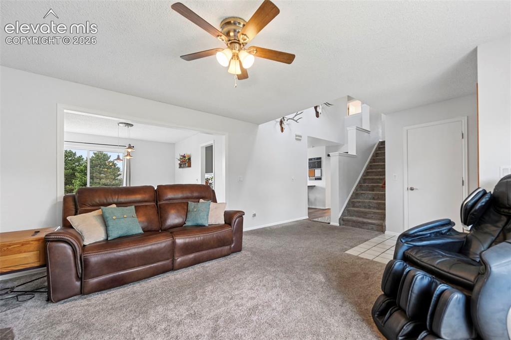 7730 Conifer Drive Colorado Springs CO 80920
