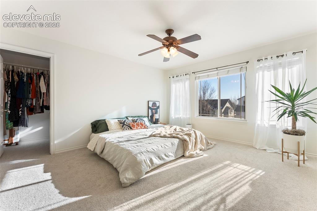 1442 Lookout Springs Drive Colorado Springs CO 80921