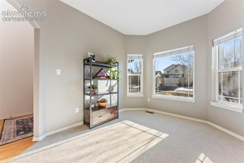 1442 Lookout Springs Drive Colorado Springs CO 80921