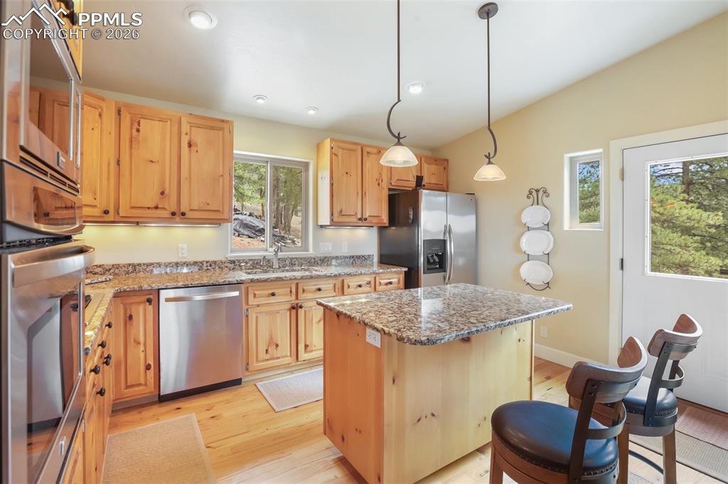185 Wildcat Creek Drive Florissant CO 80816