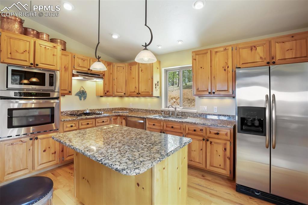 185 Wildcat Creek Drive Florissant CO 80816