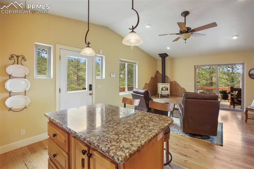 185 Wildcat Creek Drive Florissant CO 80816