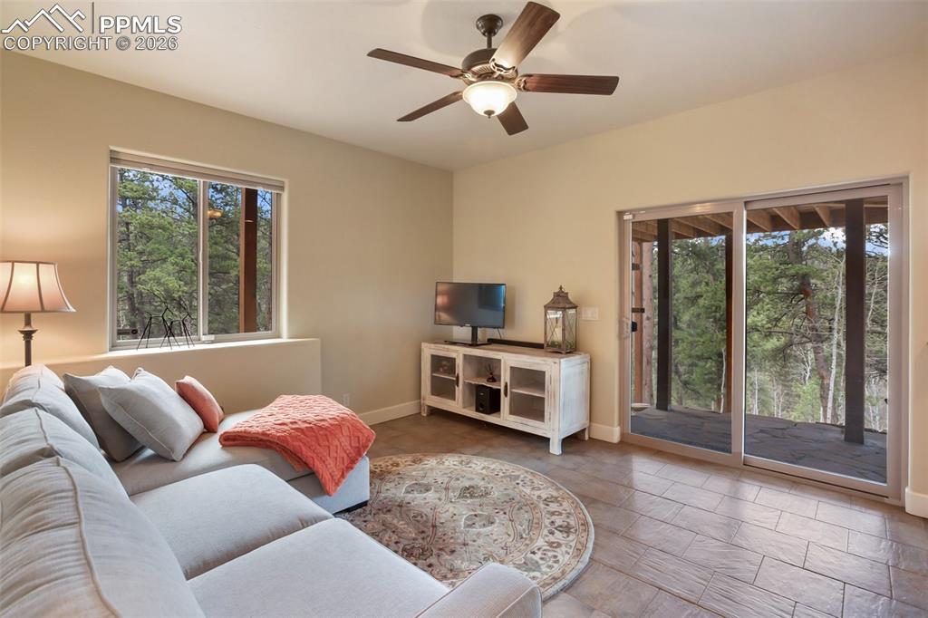 185 Wildcat Creek Drive Florissant CO 80816