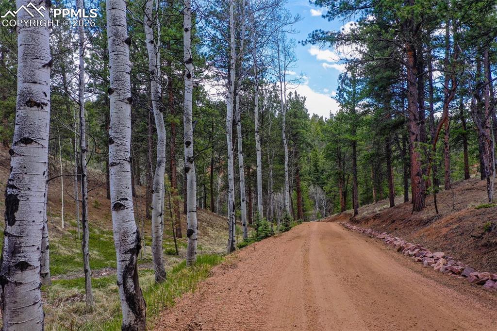 185 Wildcat Creek Drive Florissant CO 80816