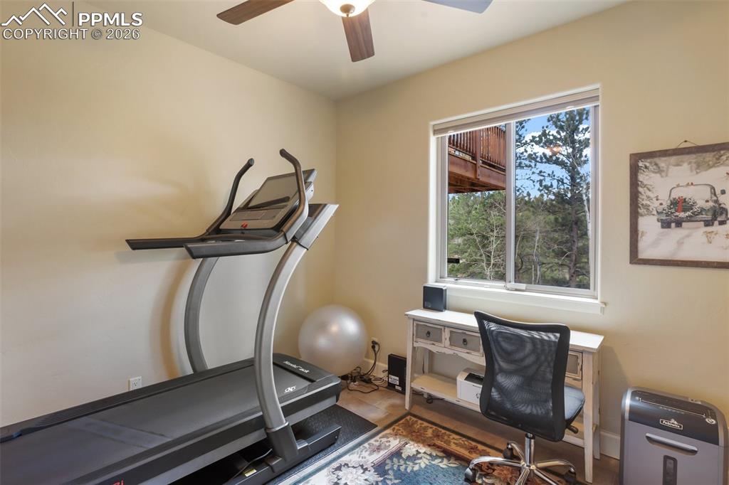 185 Wildcat Creek Drive Florissant CO 80816