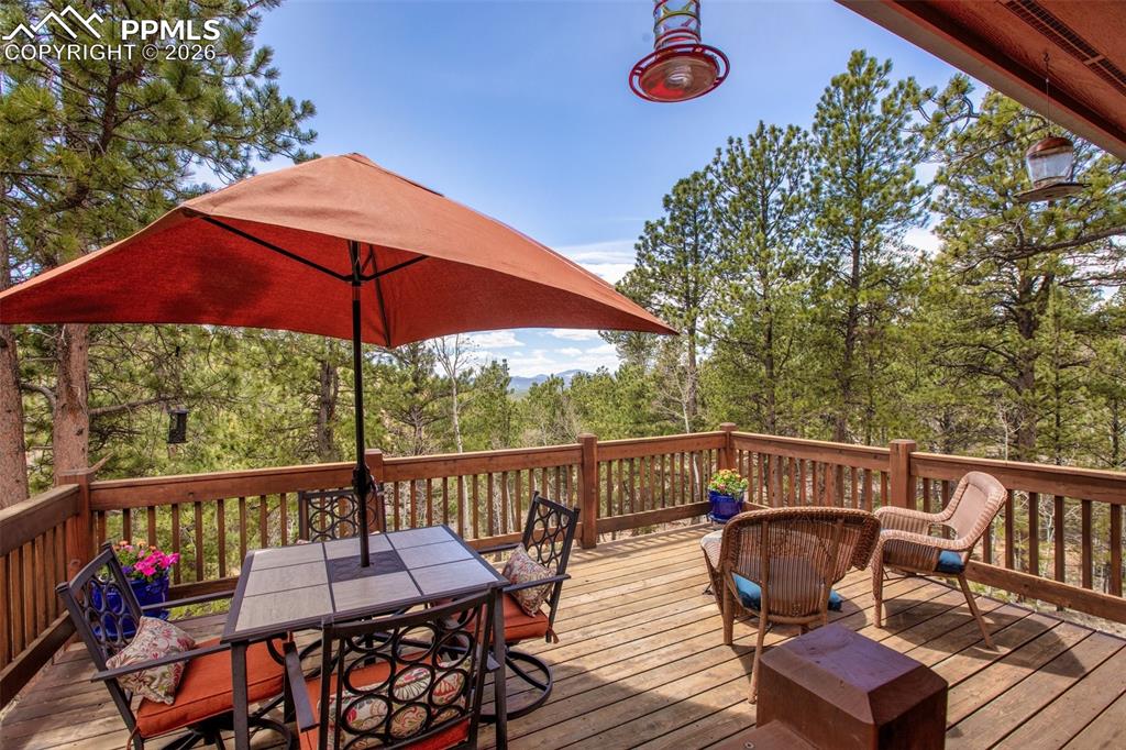 185 Wildcat Creek Drive Florissant CO 80816