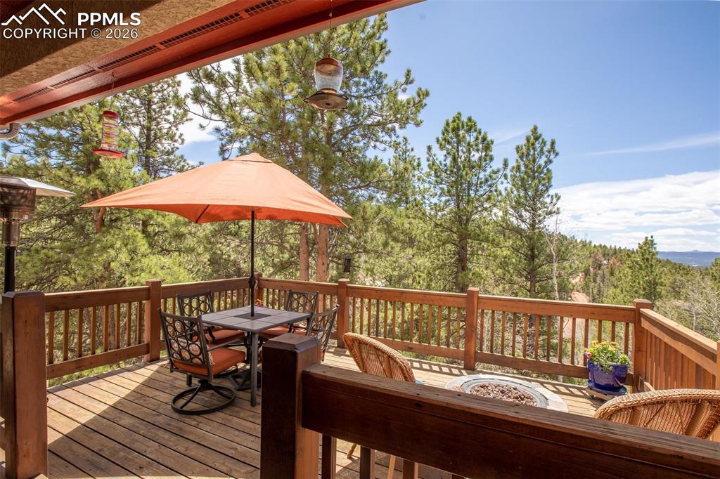 185 Wildcat Creek Drive Florissant CO 80816