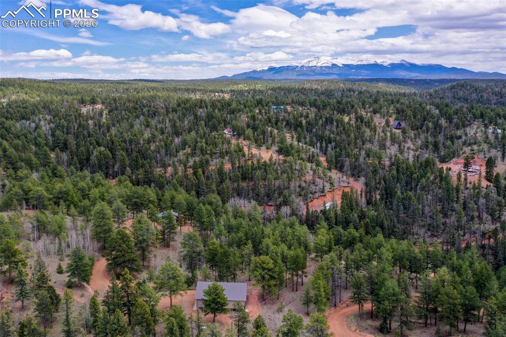 185 Wildcat Creek Drive Florissant CO 80816