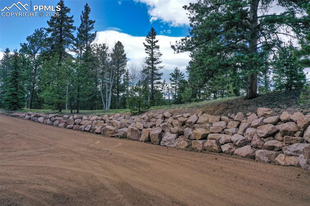 185 Wildcat Creek Drive Florissant CO 80816