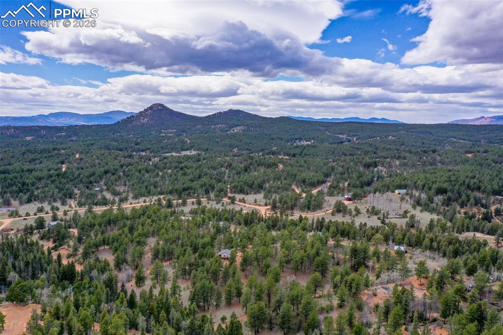 185 Wildcat Creek Drive Florissant CO 80816