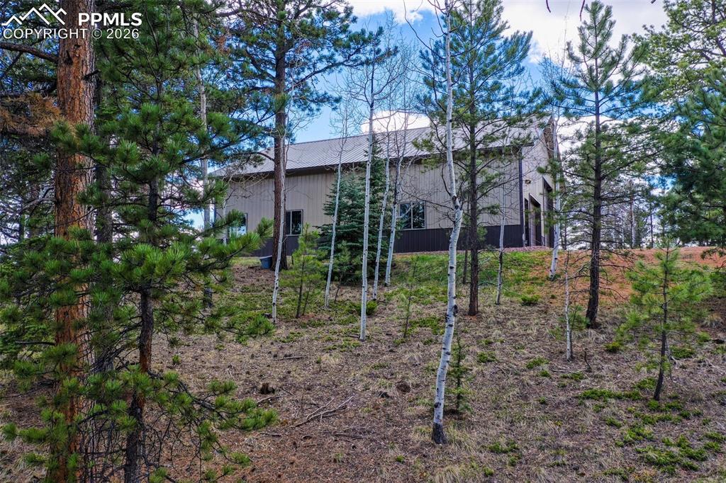 185 Wildcat Creek Drive Florissant CO 80816