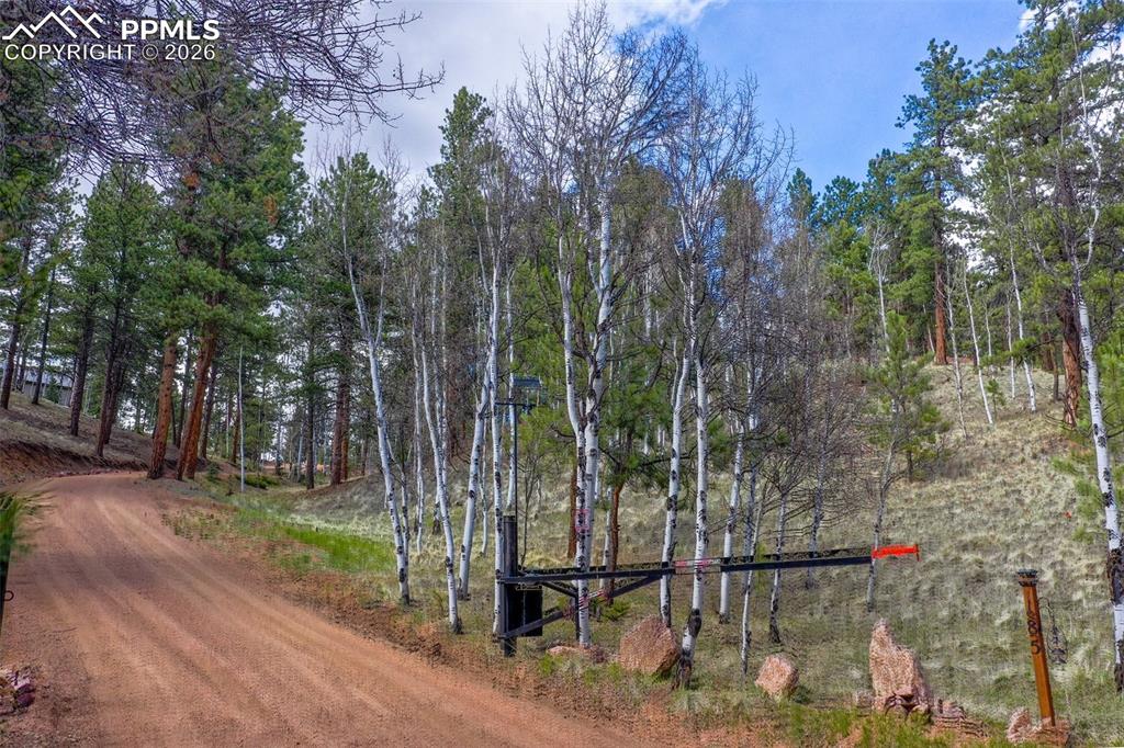 185 Wildcat Creek Drive Florissant CO 80816