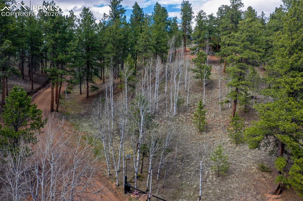185 Wildcat Creek Drive Florissant CO 80816