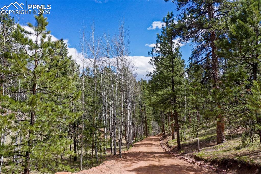 185 Wildcat Creek Drive Florissant CO 80816