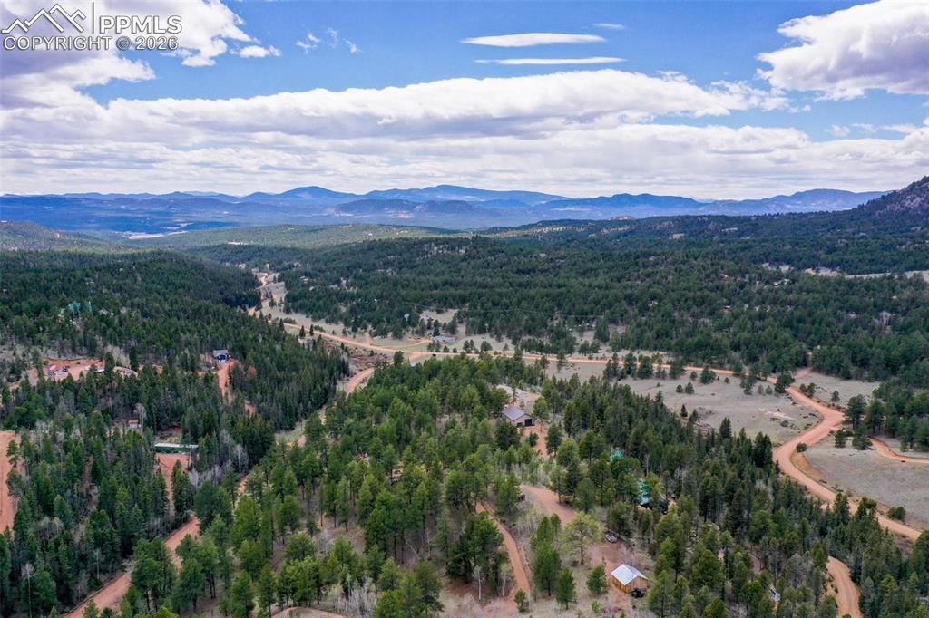 185 Wildcat Creek Drive Florissant CO 80816