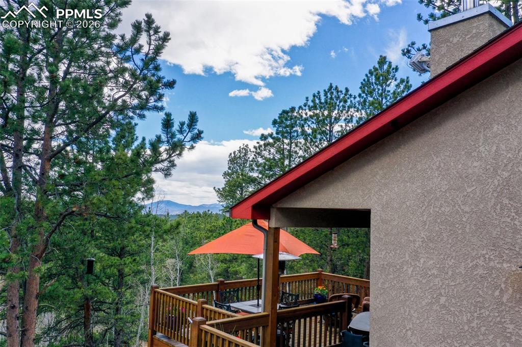 185 Wildcat Creek Drive Florissant CO 80816