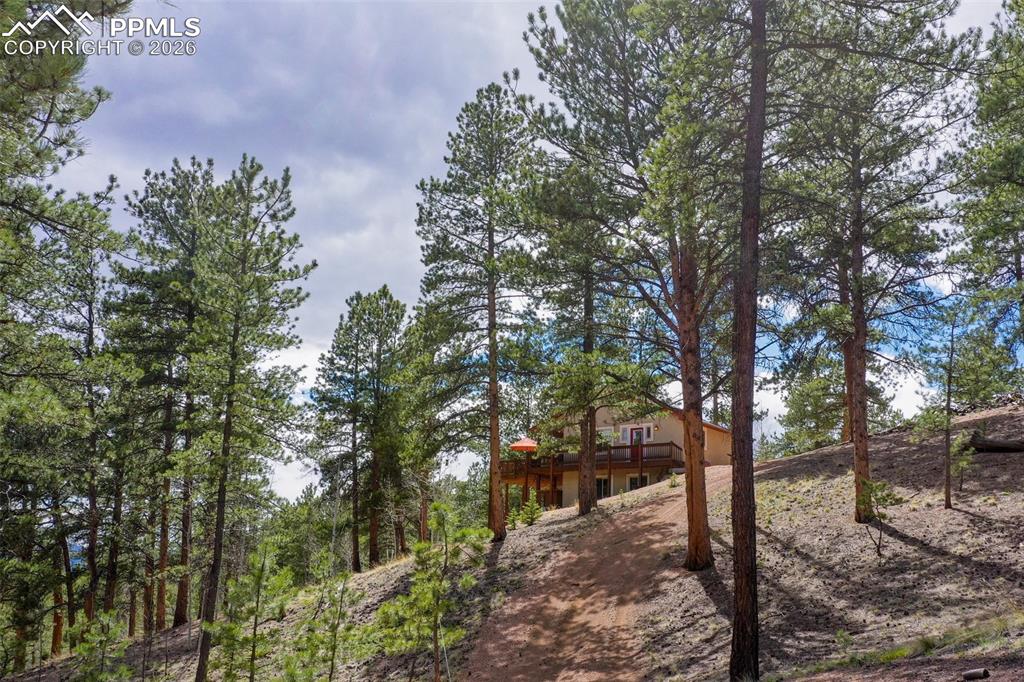 185 Wildcat Creek Drive Florissant CO 80816