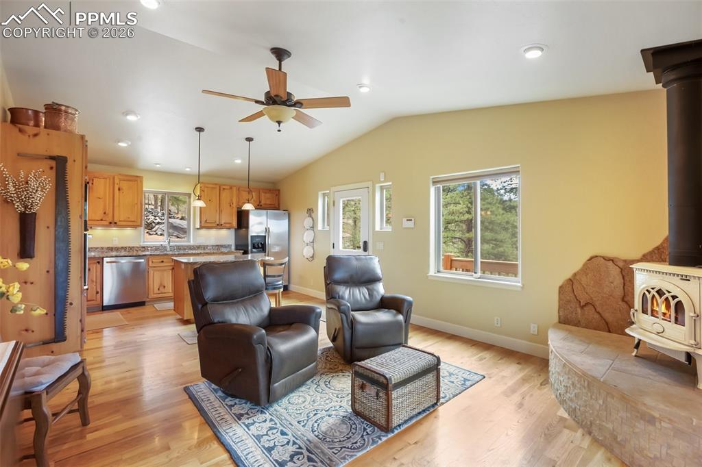 185 Wildcat Creek Drive Florissant CO 80816