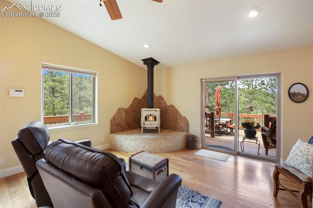 185 Wildcat Creek Drive Florissant CO 80816