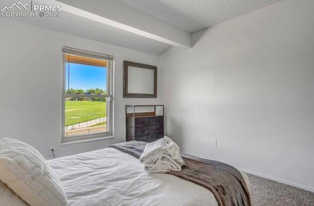 4410 Valencia Circle Colorado Springs CO 80917