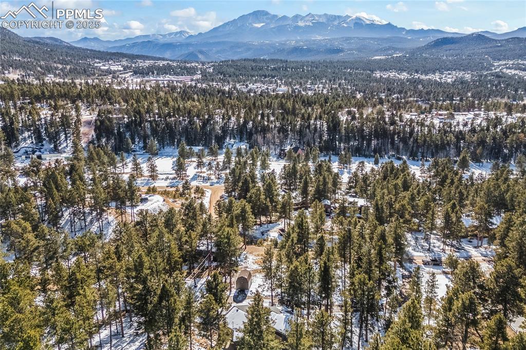 192 Ridge Drive Woodland Park CO 80863